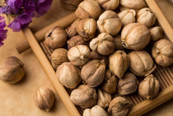 2023年我国将实施系列行动计划建强中医药服务体系